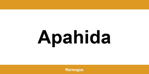 Contactează direct punctul Cargus Ship & Go aflat în Apahida