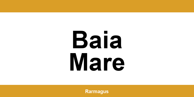 Contactează direct punctul Cargus Ship & Go aflat în Baia Mare