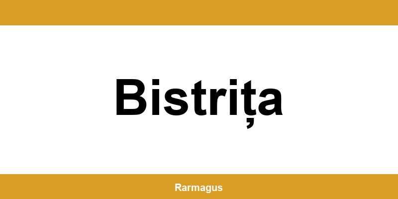 Contactează direct punctul Cargus Ship & Go aflat în Bistrița