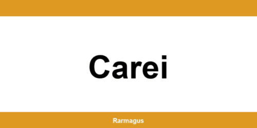 Contactează direct punctul Cargus Ship & Go aflat în Carei