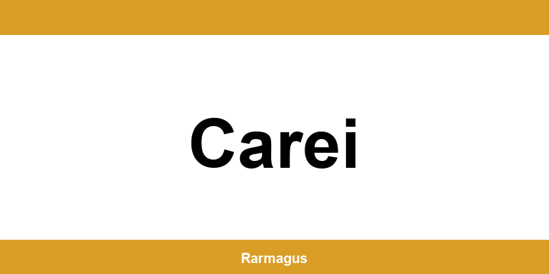 Contactează direct punctul Cargus Ship & Go aflat în Carei