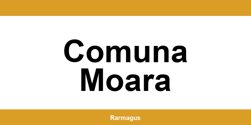 Contactează direct punctul Cargus Ship & Go aflat în Comuna Moara