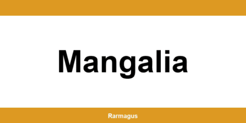 Contactează direct punctul Cargus Ship & Go aflat în Mangalia