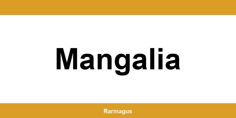 Contactează direct punctul Cargus Ship & Go aflat în Mangalia