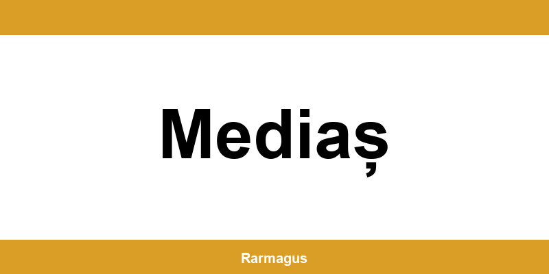 Contactează direct punctul Cargus Ship & Go aflat în Mediaș