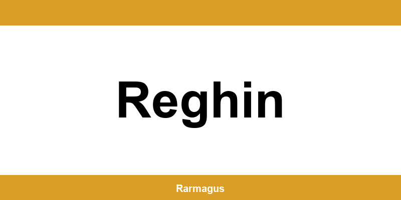 Contactează direct punctul Cargus Ship & Go aflat în Reghin