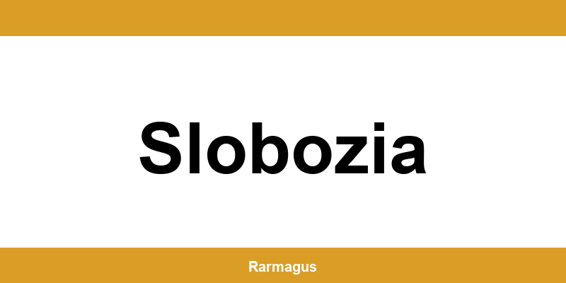 Contactează direct punctul Cargus Ship & Go aflat în Slobozia
